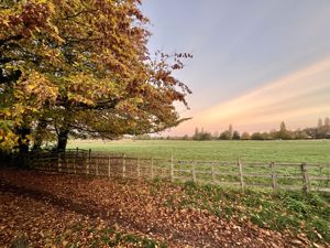 Photo 14- click for photo gallery